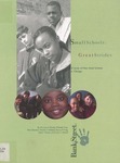 Small Schools: Great Strides, A Study of New Schools in Chicago by Patricia A. Wasley, Michelle Fine, Matt Gladden, Nicole E. Holland, Sherry P. King, Esther Mosak, and Linda C. Powell