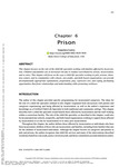 The Role of Child Life Specialists in Community Settings: Chapter 6: Prison